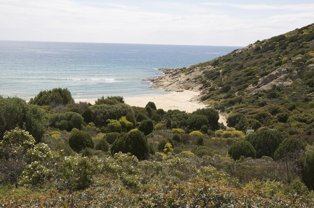 Case Sul Mare Residenze Di Bes Chia Bagian luar foto