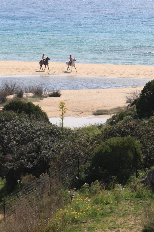 Case Sul Mare Residenze Di Bes Chia Bagian luar foto